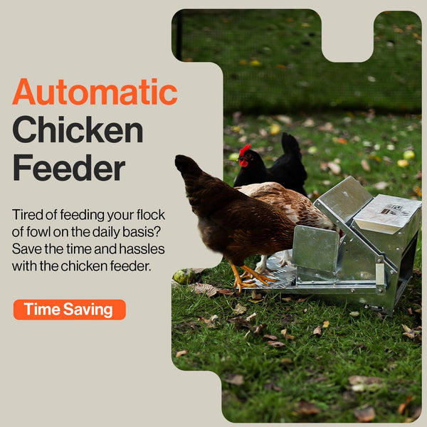 [Pre-Order] SuperHandy Chicken Feeder Automatic 20lbs (9kg) Capacity Trough Feeds 6-12 Poultry/Fowl Up to 10 Days Keeps Dry with Spill Proof Galvanized Steel Bird Prevention for Chickens, Pheasants, or Roosters GBTS016 ( Restock date: Early July)